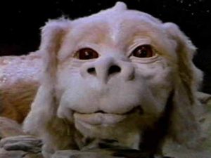 falcor the optimizer